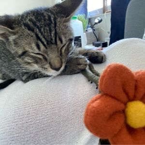 Meet your Posher, Futile